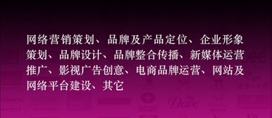 國內頂級互聯網營銷推廣公司 專注低成本品牌策劃與市場營銷
